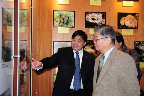 專(zhuān)題報(bào)道