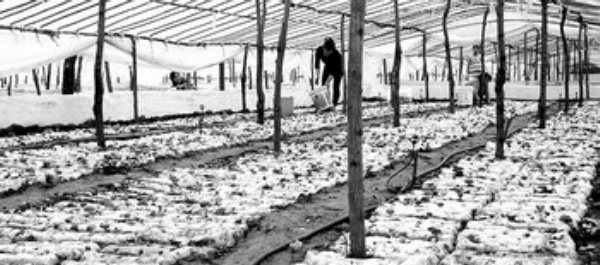 圖片關鍵詞 圖片關鍵詞