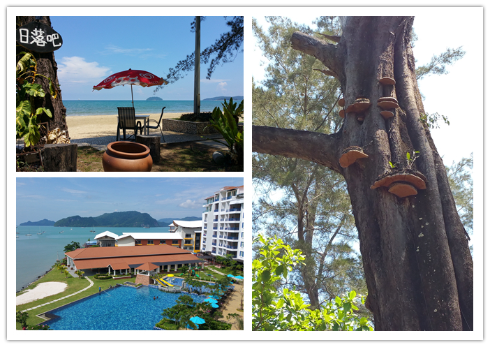 圖片關鍵詞 圖片關鍵詞