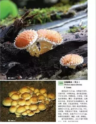 圖片關鍵詞 圖片關鍵詞