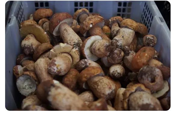 圖片關鍵詞 圖片關鍵詞