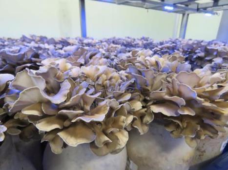 圖片關鍵詞 圖片關鍵詞