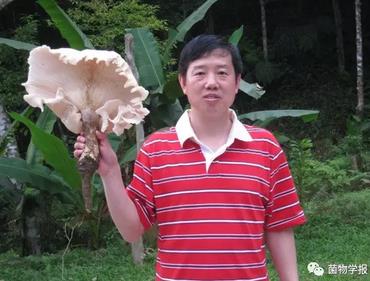 圖片關鍵詞 圖片關鍵詞