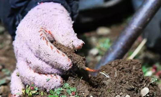 圖片關(guān)鍵詞 圖片關(guān)鍵詞