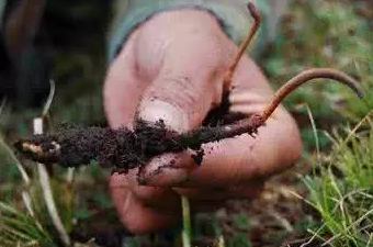 圖片關鍵詞 圖片關鍵詞