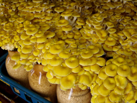 圖片關(guān)鍵詞 http://www.51its.com.cn/ewebeditor/uploadfile/20171009104138453001.png