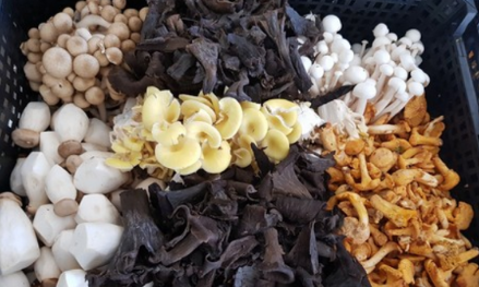 圖片關(guān)鍵詞 圖片關(guān)鍵詞