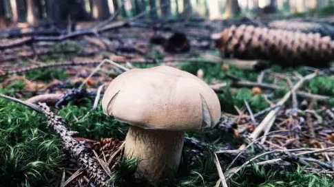 圖片關鍵詞 圖片關鍵詞