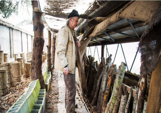 圖片關(guān)鍵詞 圖片關(guān)鍵詞