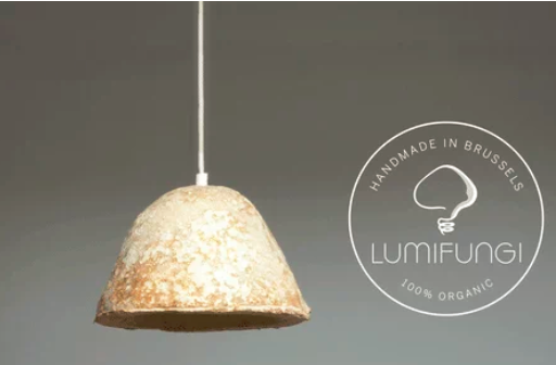 圖片關鍵詞 http://www.51its.com.cn/ewebeditor/uploadfile/20180727085601461001.png