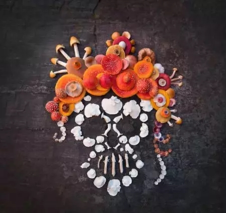 圖片關鍵詞 圖片關鍵詞