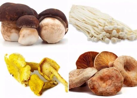 圖片關(guān)鍵詞 圖片關(guān)鍵詞