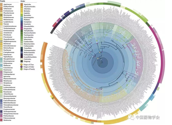 圖片關(guān)鍵詞 圖片關(guān)鍵詞