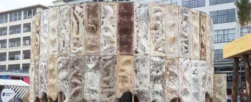 圖片關鍵詞 http://www.mushroommarket.net/file/upload/202002/12/09-06-01-99-283825.png