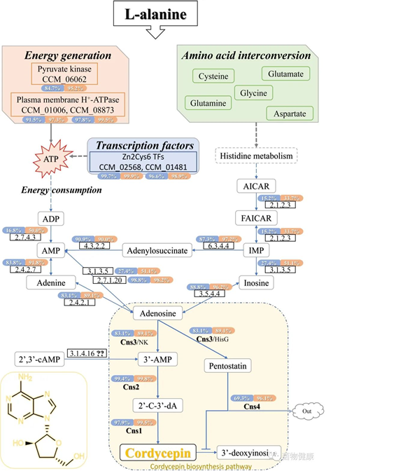 圖片關(guān)鍵詞 圖片關(guān)鍵詞