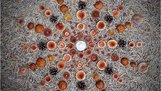 圖片關鍵詞 http://img.todayfocus.cn/uploads/thumb/201711/650x380/20171124221959zAnm.jpeg