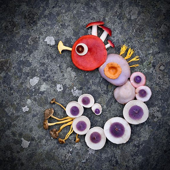 圖片關鍵詞 http://img2.jiemian.com/jiemian/original/20171123/151141538537115000_a580xH.jpg