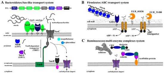 圖片關鍵詞 https://mmbiz.qpic.cn/mmbiz_jpg/OnRbAd1HL44da8qpWCnn2RmJEB4eNMYmNeWoysibic5MdZuicNGHlF8EqgDtXWQ08sdic5YZMXh4bCV4slAQmeQFMA/640?wx_fmt=jpeg