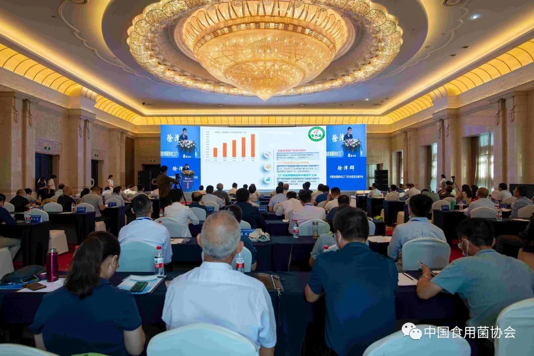 圖片關鍵詞 https://mmbiz.qpic.cn/mmbiz_jpg/qmUUOFzKOyRYEBXKnSHMvP5v7LsM30Ekx8gUicLiazb14do64mH6t96mScWibjL5kdJZ1542h86gmWhnYrGqNOibtA/640?wx_fmt=jpeg