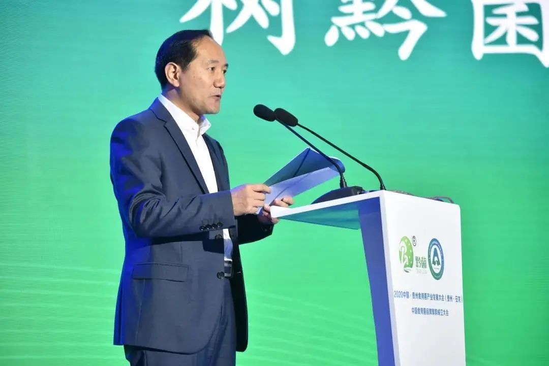 圖片關(guān)鍵詞 https://mmbiz.qpic.cn/mmbiz_jpg/tViaTicjwibVZmgEXXCALToc7mAB2rFo1Lnw2CWHfgSH2I30G1FXRBptB1eTUOflPxO6ia5FccUq1ia9HGmxrm8Tvibg/640?wx_fmt=jpeg