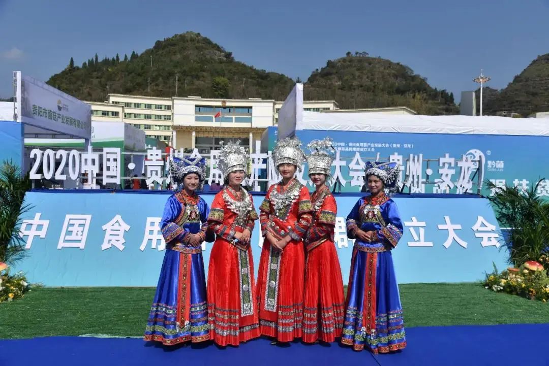 圖片關(guān)鍵詞 https://mmbiz.qpic.cn/mmbiz_jpg/tViaTicjwibVZmgEXXCALToc7mAB2rFo1LnEBNFKORqWhHK2Rfs6Vj7ABXQ3HrOLJvZMgF6zVmlTZ3SElyib6N28Bw/640?wx_fmt=jpeg