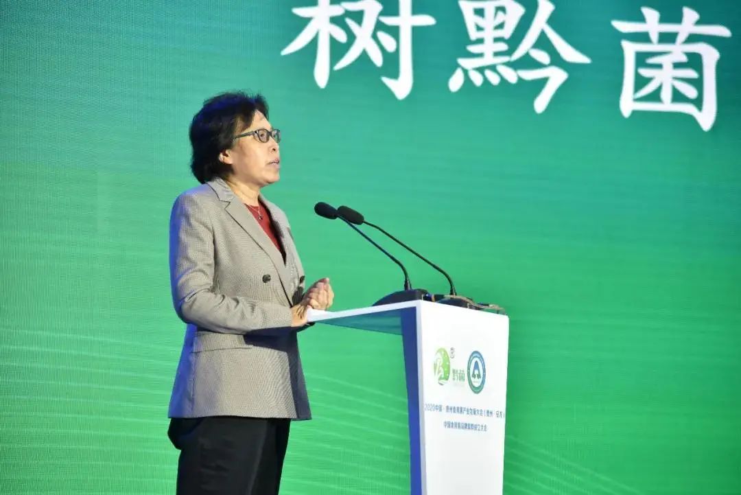 圖片關(guān)鍵詞 https://mmbiz.qpic.cn/mmbiz_jpg/tViaTicjwibVZmgEXXCALToc7mAB2rFo1LnUaEic5slUtmOtibGDawH453WL6soutibicRXiaIEBvCFFg8DibHwMkMRxx4g/640?wx_fmt=jpeg