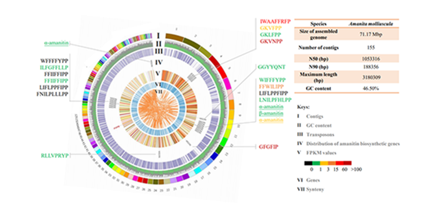 圖片關鍵詞 圖片關鍵詞