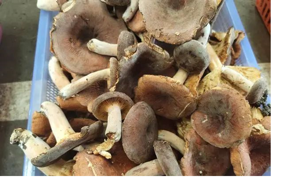 圖片關鍵詞 圖片關鍵詞