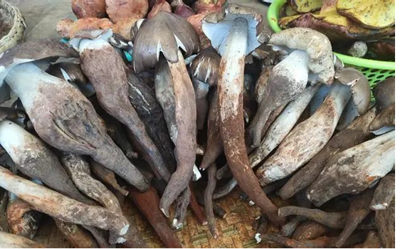 圖片關鍵詞 圖片關鍵詞