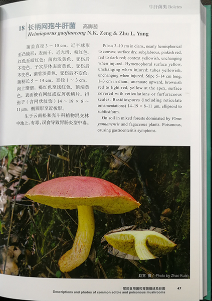 圖片關鍵詞 圖片關鍵詞