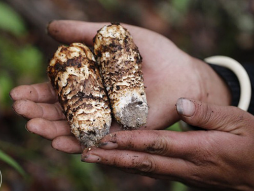 圖片關鍵詞 圖片關鍵詞