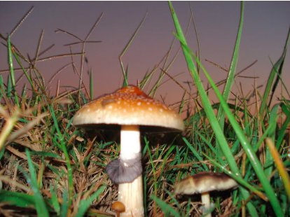 圖片關鍵詞 圖片關鍵詞