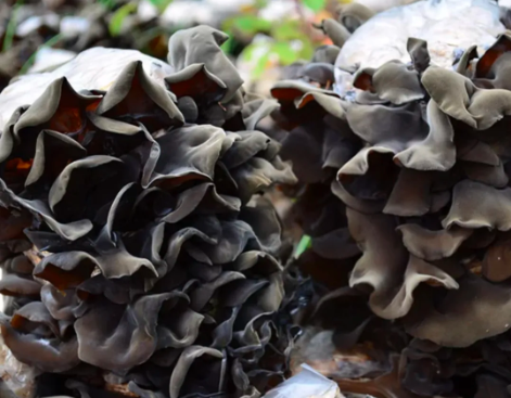 圖片關(guān)鍵詞 圖片關(guān)鍵詞