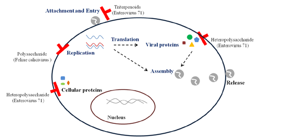 圖片關鍵詞 圖片關鍵詞