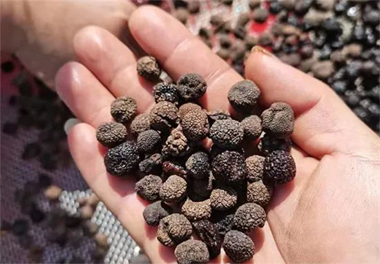 圖片關鍵詞 https://mmbiz.qpic.cn/mmbiz_jpg/OnRbAd1HL46wHKePT9jqeAiaZCvVaojNib4ZMFDEk8iaTicLKslqhgTFYEHhudY9fuUqicZOIm0OLib43lZHFRLmLIjA/640?wx_fmt=jpeg