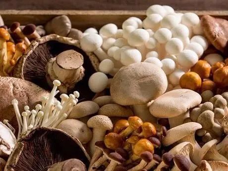 圖片關鍵詞 https://mmbiz.qpic.cn/mmbiz_jpg/ib6gHnfia6Oolk2ovbJk5OLYV5nIA9cydO5pZOQvJdWVghzAwgbgPSNtn7qibxzjfEQpImTOScErkS4h8qHDqZbRw/640?wx_fmt=jpeg