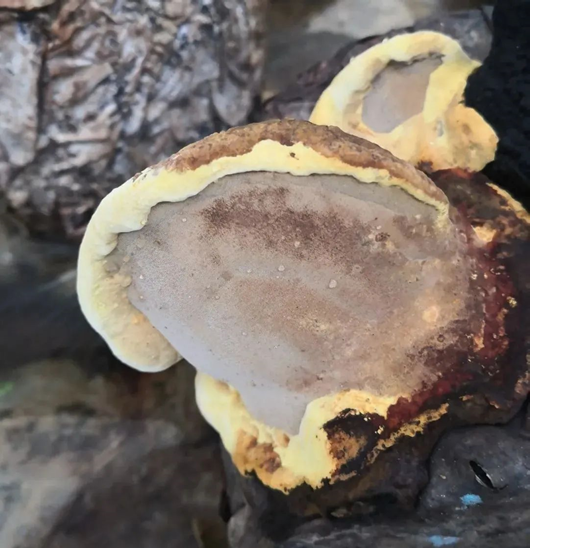 圖片關鍵詞 圖片關鍵詞