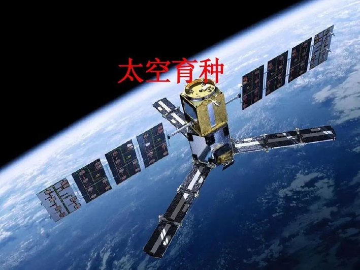 圖片關鍵詞 圖片關鍵詞