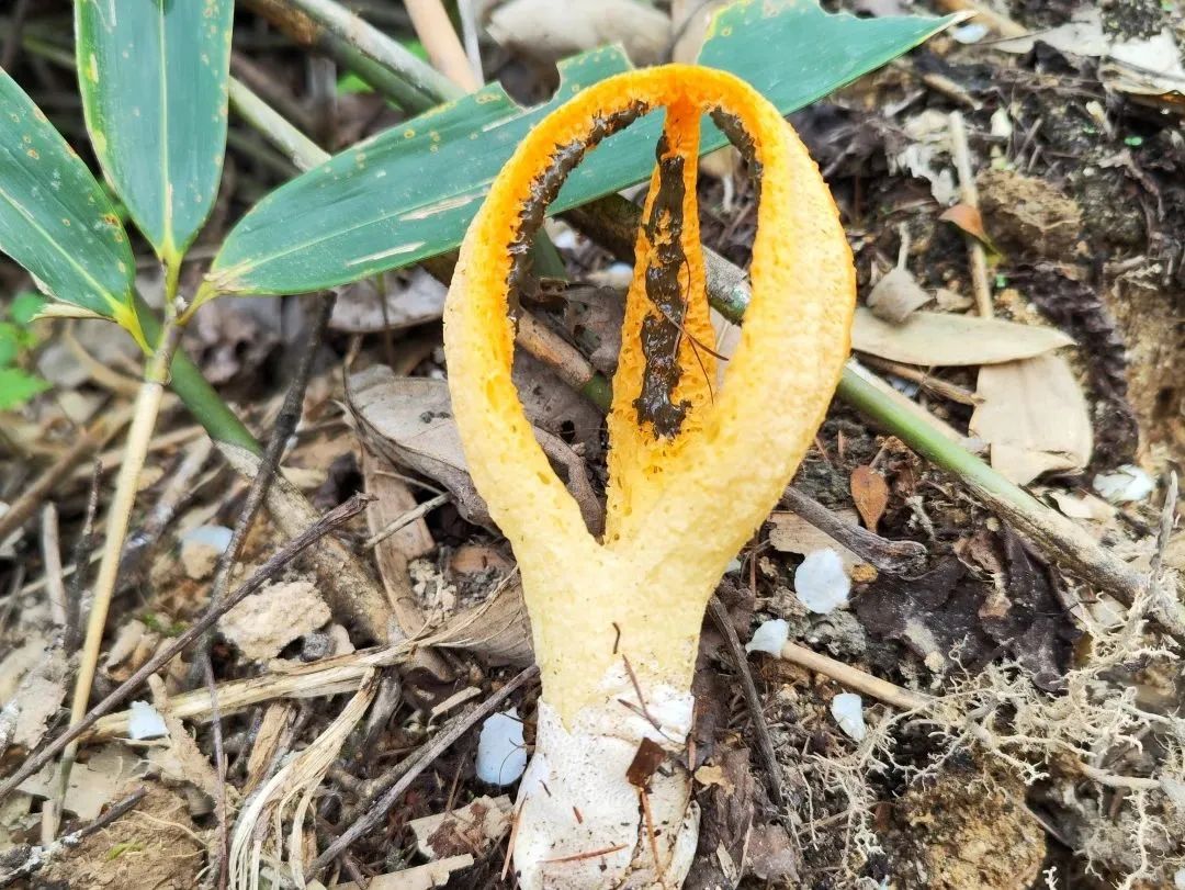 圖片關鍵詞 圖片關鍵詞