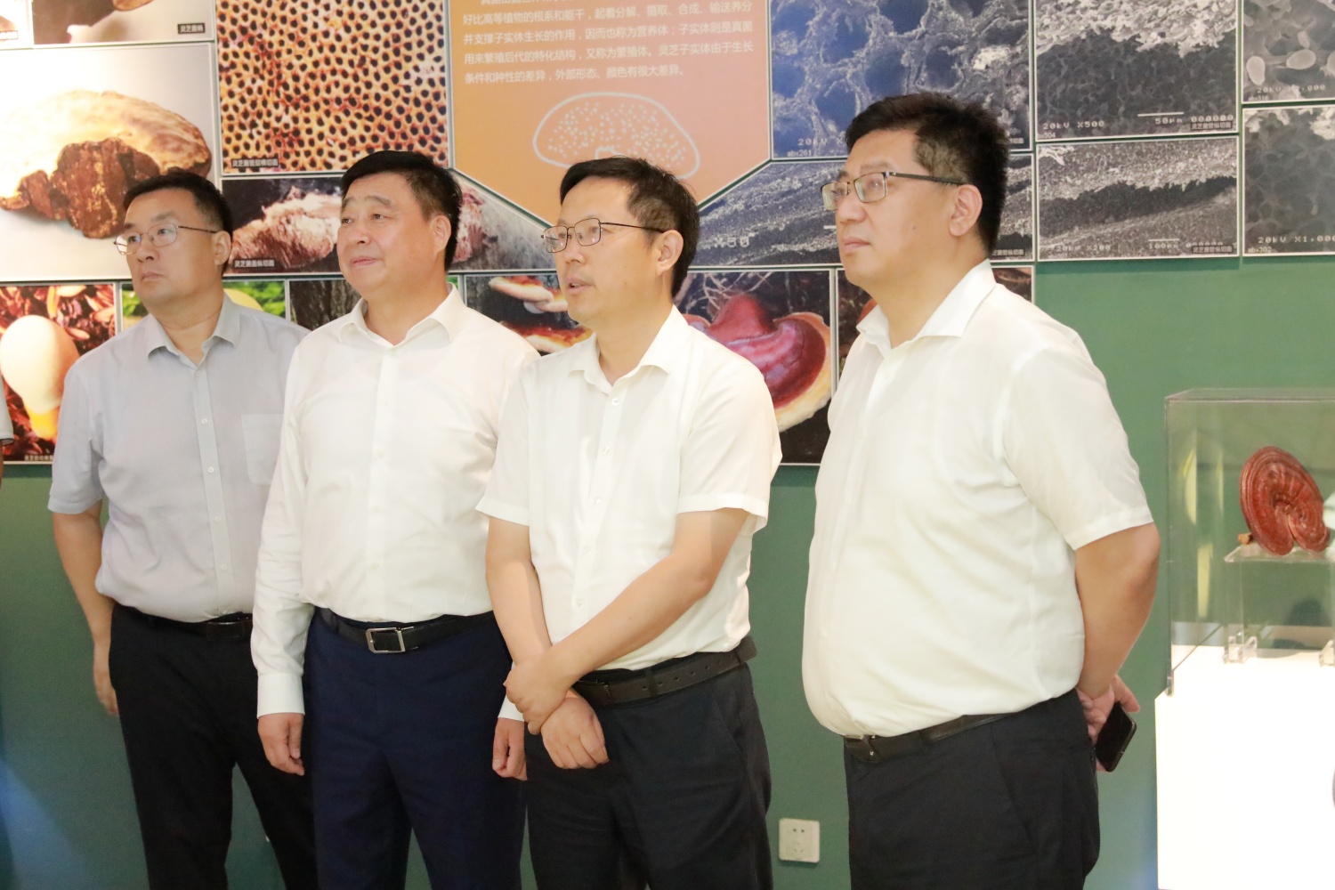 圖片關鍵詞 圖片關鍵詞