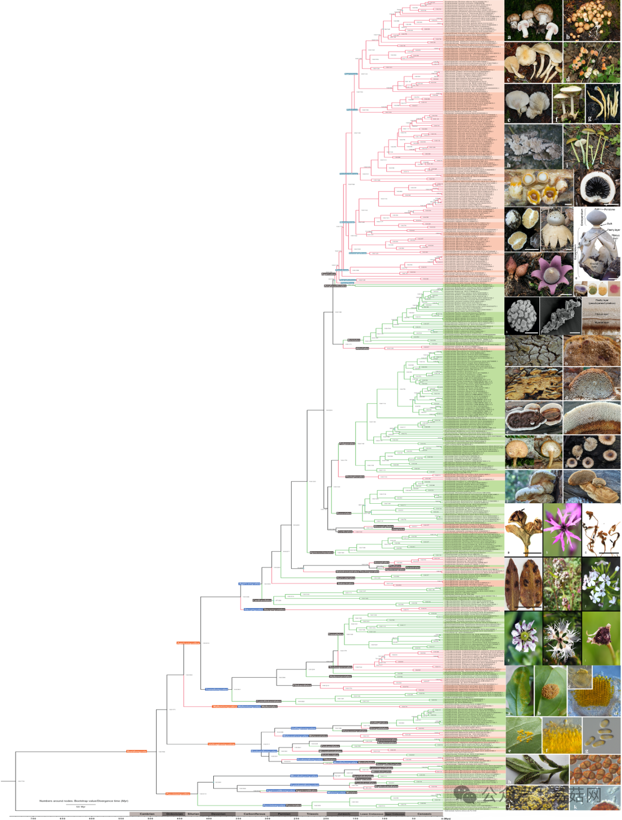 圖片關(guān)鍵詞 圖片關(guān)鍵詞