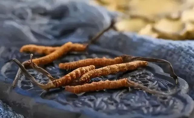 圖片關鍵詞 圖片關鍵詞