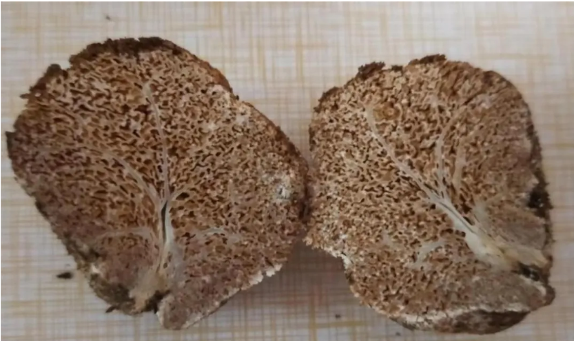 圖片關鍵詞 圖片關鍵詞