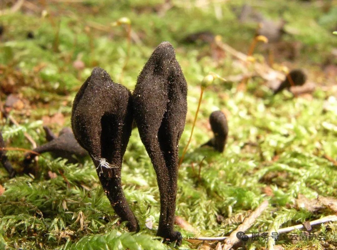 圖片關鍵詞 圖片關鍵詞