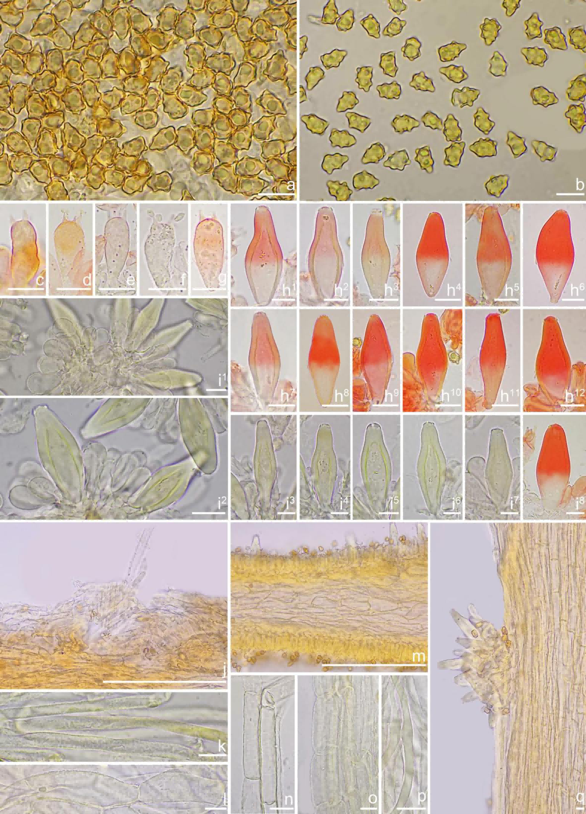圖片關(guān)鍵詞 圖片關(guān)鍵詞
