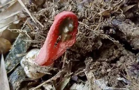 圖片關(guān)鍵詞