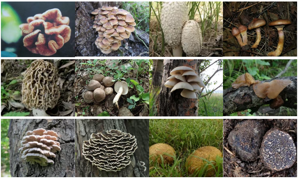 圖片關鍵詞 圖片關鍵詞