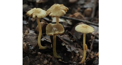 行業(yè)動(dòng)態(tài)