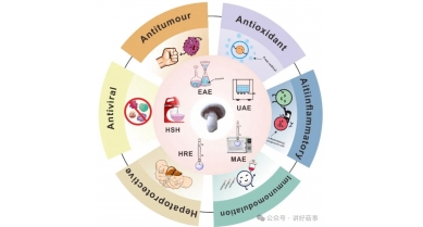 行業(yè)動態(tài)